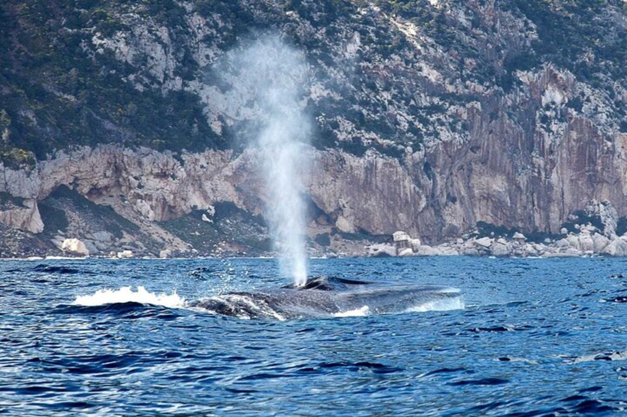 Da Cala Gonone Escursione Naturalistica in gommone — 2