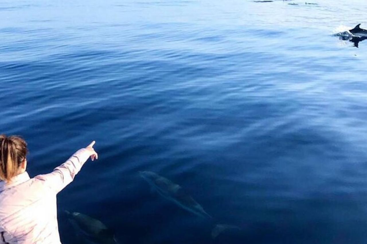 Da Cala Gonone Escursione Naturalistica in gommone — 4