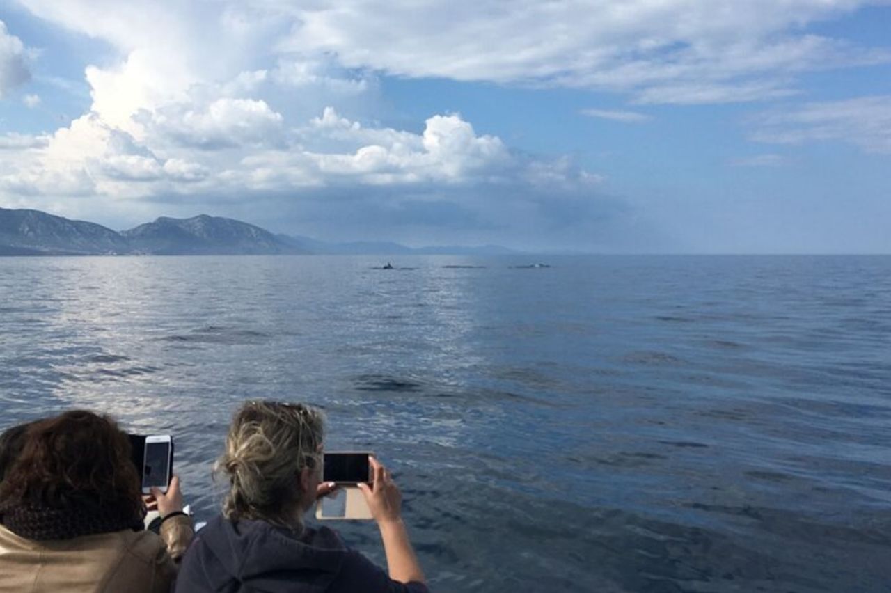 Da Cala Gonone Escursione Naturalistica in gommone — 6