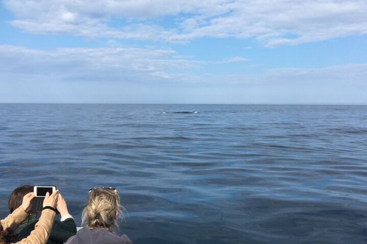 Da Cala Gonone Escursione Naturalistica in gommone — 7