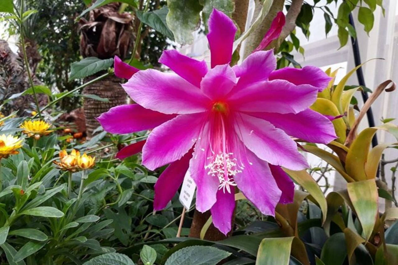 Alghero Visita alla Casa delle Farfalle — 9