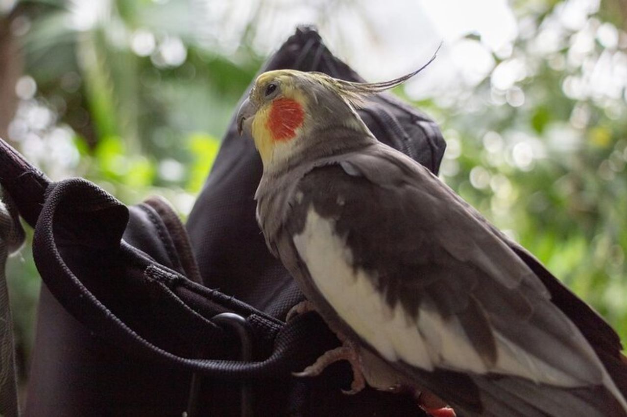 Alghero Visita alla Casa delle Farfalle — 8