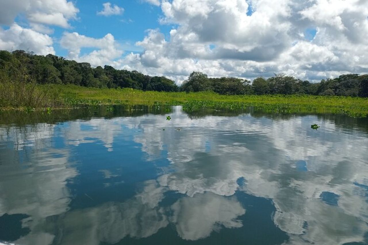 Una crociera sul fiume Chagres dal terminal crociere Colon — 7