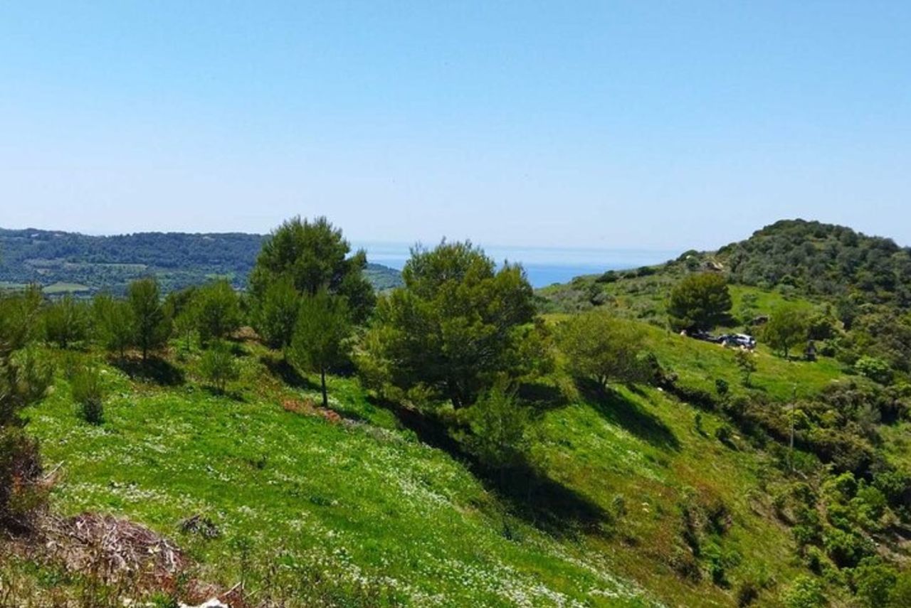 Bosa: scopri i prodotti dell'alveare — 4