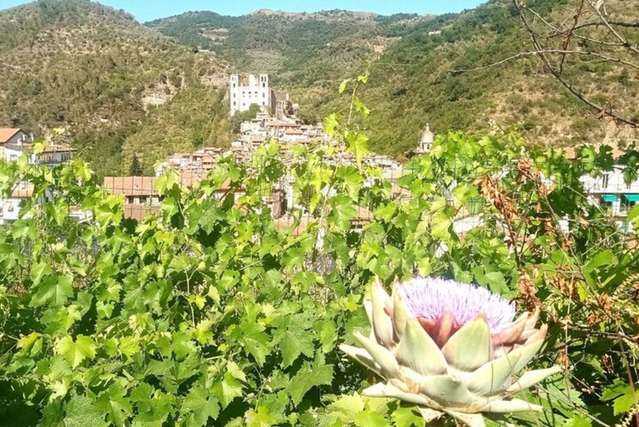 Tour in E-Bike di un'intera giornata da Ventimiglia: Valle del Nervia & Dolceacqua — 7