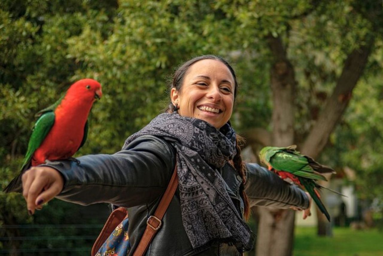 Tour ecologico per piccoli gruppi di Great Ocean Road da Melbourne — 5