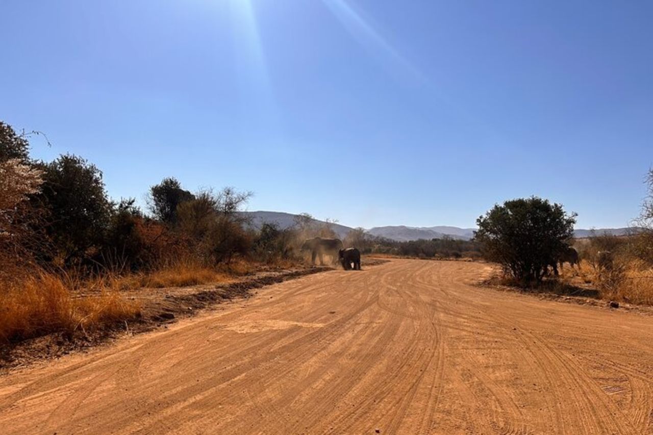 Safari di un'intera giornata nel Parco Nazionale Pilanesberg