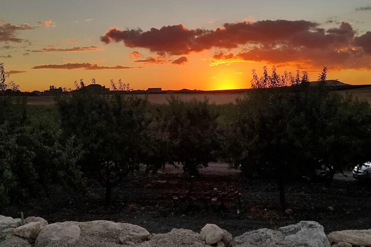 Valle dei Templi al tramonto e Degustazione di vini ad Agrigento — 5