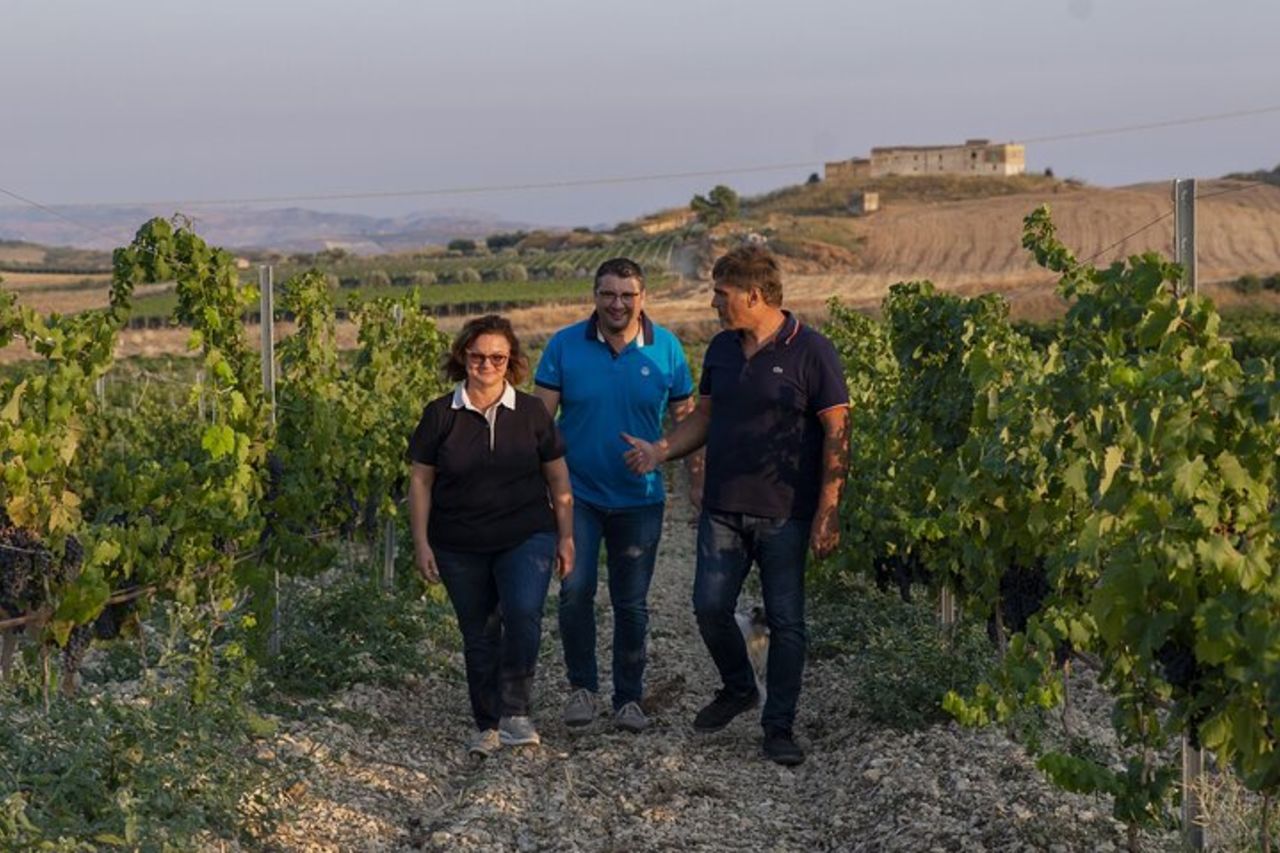 Degustazione di Vini e Oli EVO nelle campagne di Agrigento