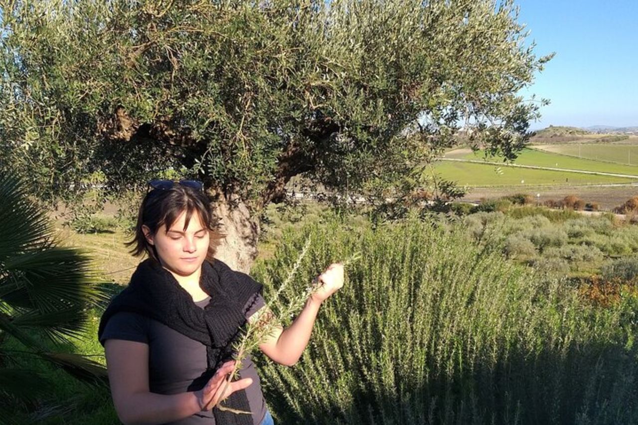 Degustazione di Vini e Oli EVO nelle campagne di Agrigento — 3
