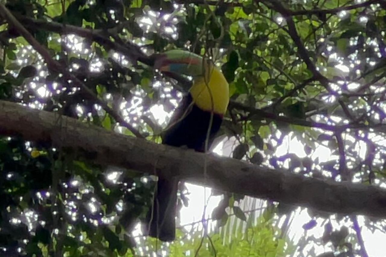 Camminare sul Cerro Ancón: Natura e panorami unici — 9