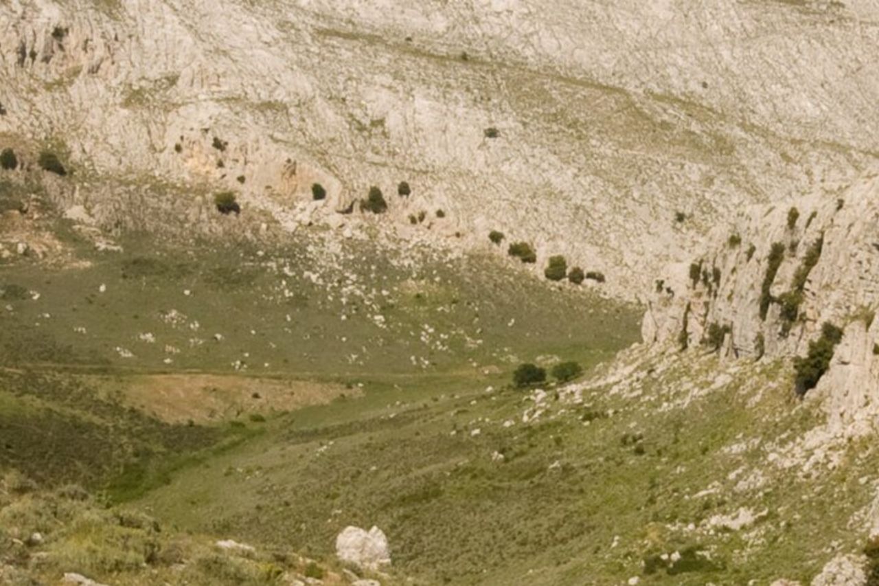 Lodè Trekking a Punta Cupeti sul Montalbo — 2