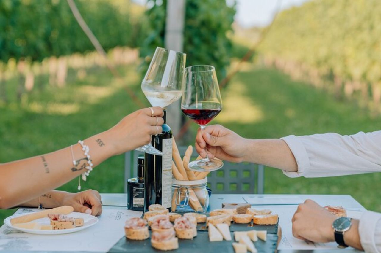Degustazione enogastronomica nei vigneti di Lazise — 7