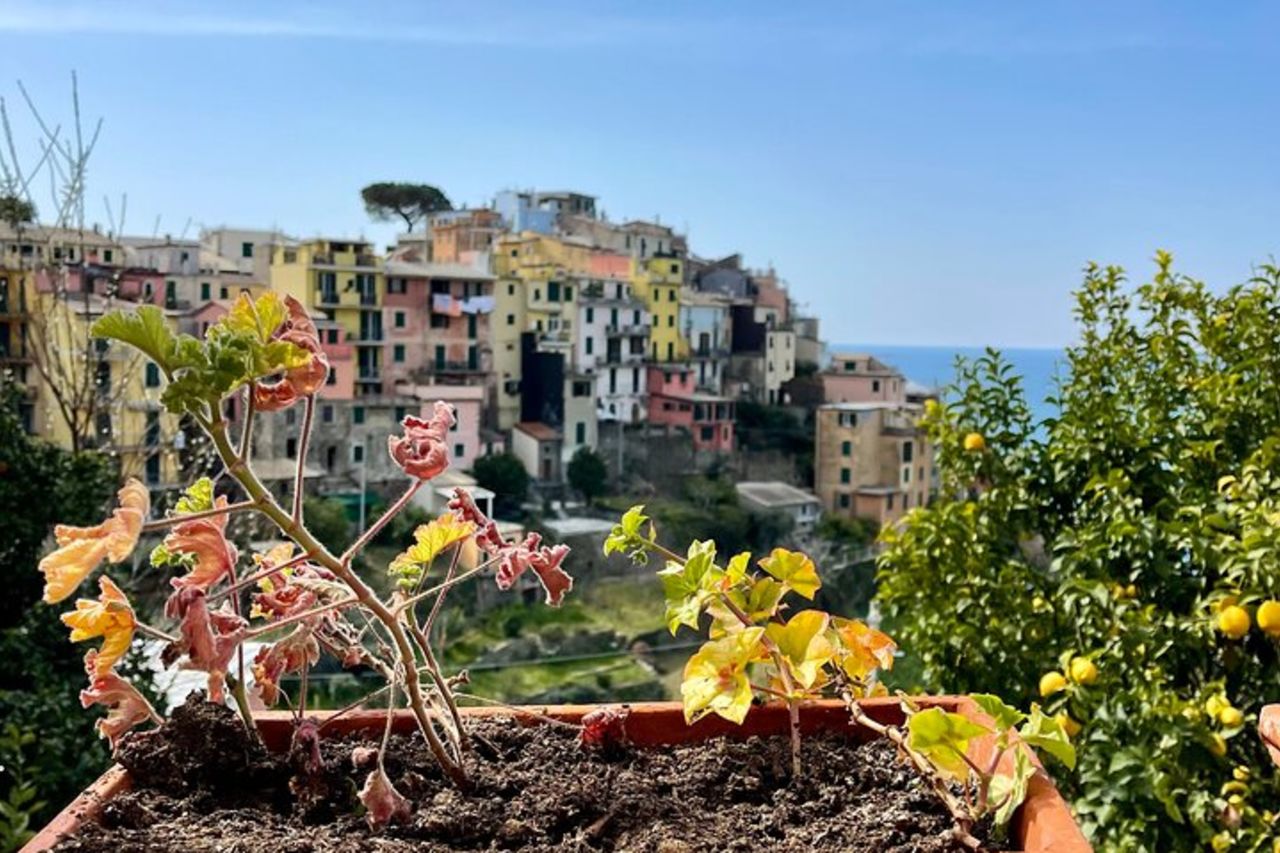 Tour privato alle Cinque Terre — 7