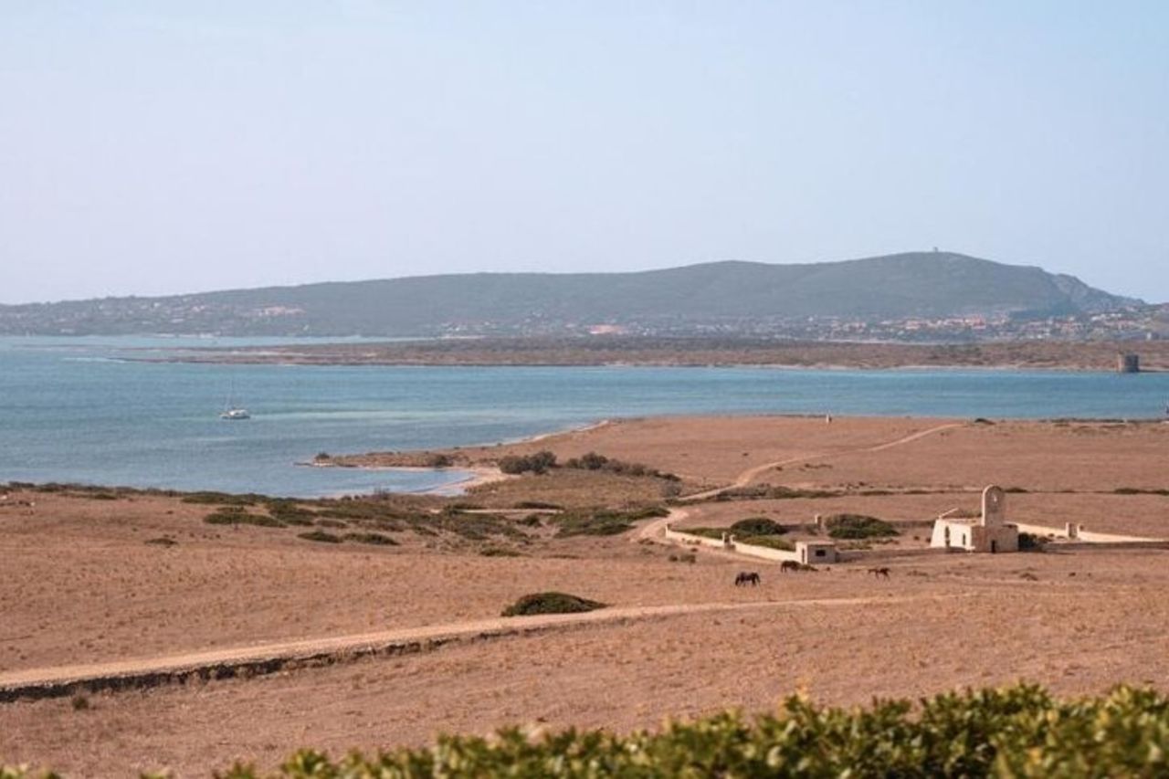 ISOLA DI ASINARA-TOUR full day Minivan nel Parco Nazionale — 9