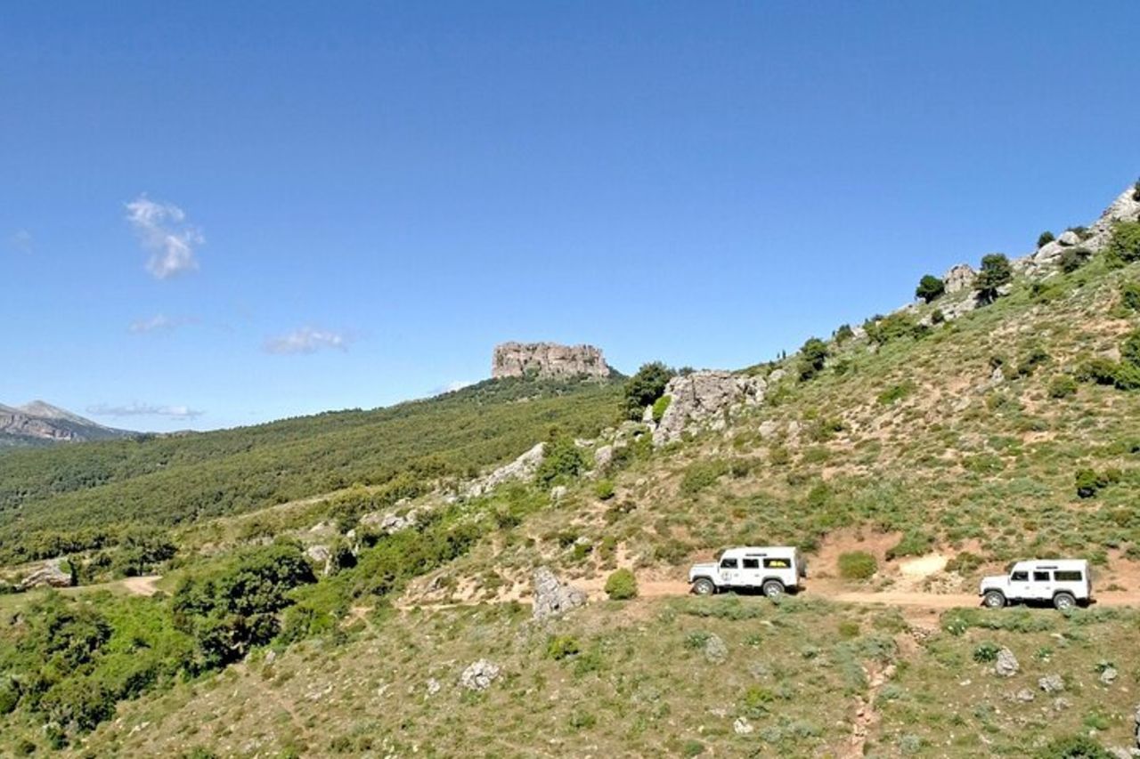 Da Orgosolo: tour privato in jeep