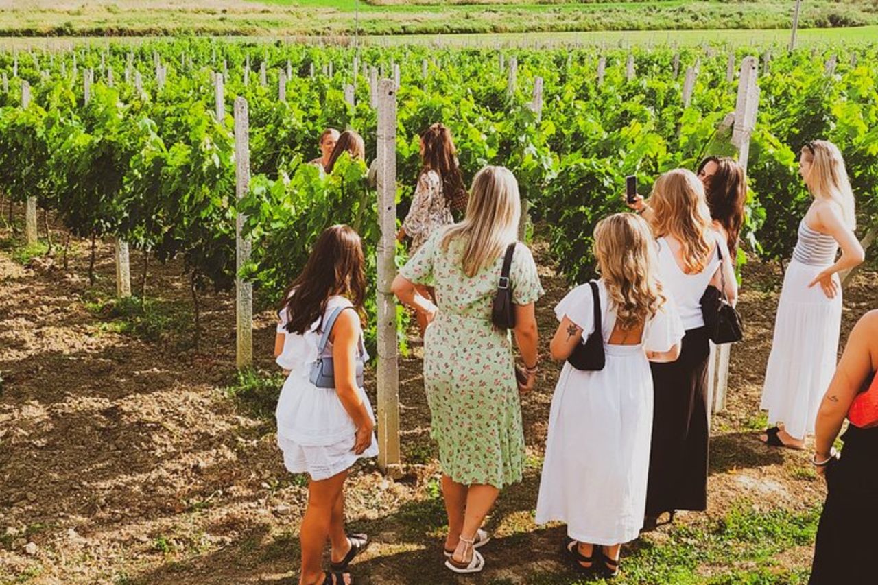 Esperienza di vigneto in campagna a Durazzo con abbinamento vino & cibo — 7