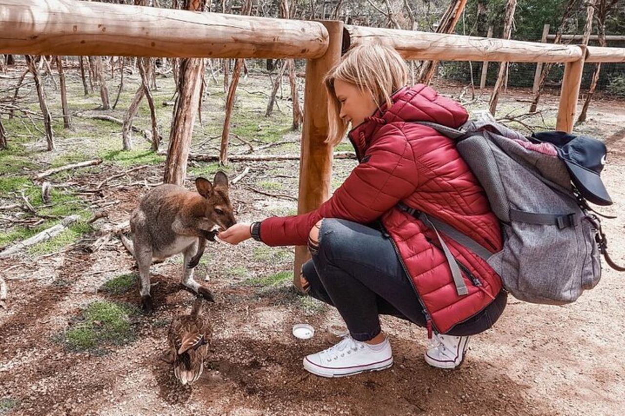 Phillip Island Penguins & Wildlife Day Tour da Melbourne — 4