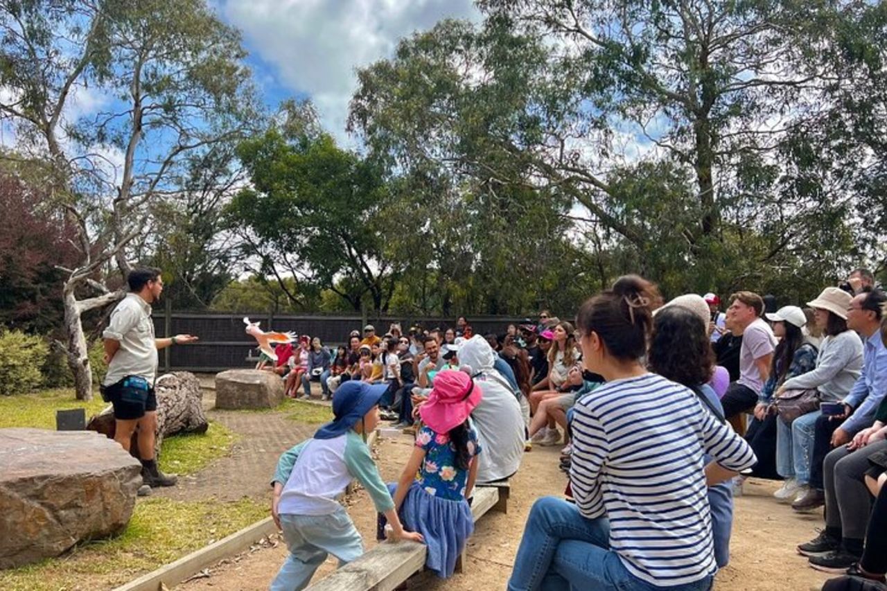 Phillip Island Penguins & Wildlife Day Tour da Melbourne — 5