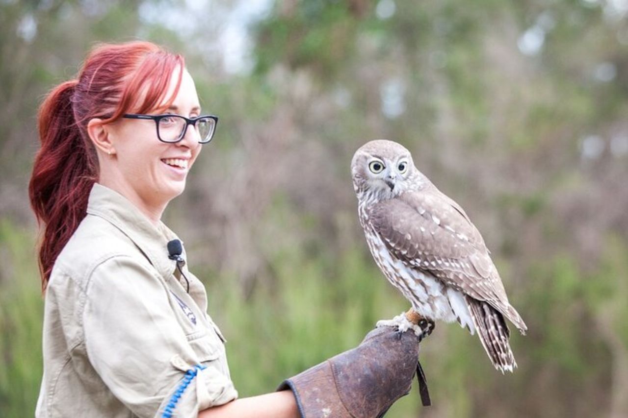 Phillip Island Penguins & Wildlife Day Tour da Melbourne — 6