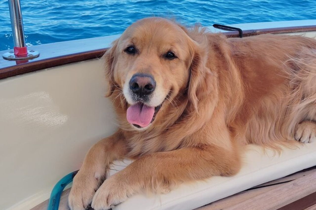 Yoga in Barca Privata a Portofino con Colazione o Aperitivo — 6