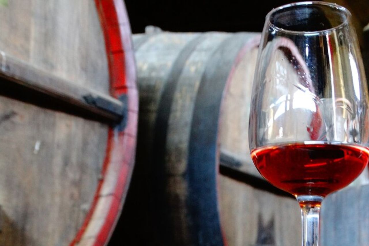 Formaggi & Vini di Colonia: Un'esperienza privata gourmet — 7