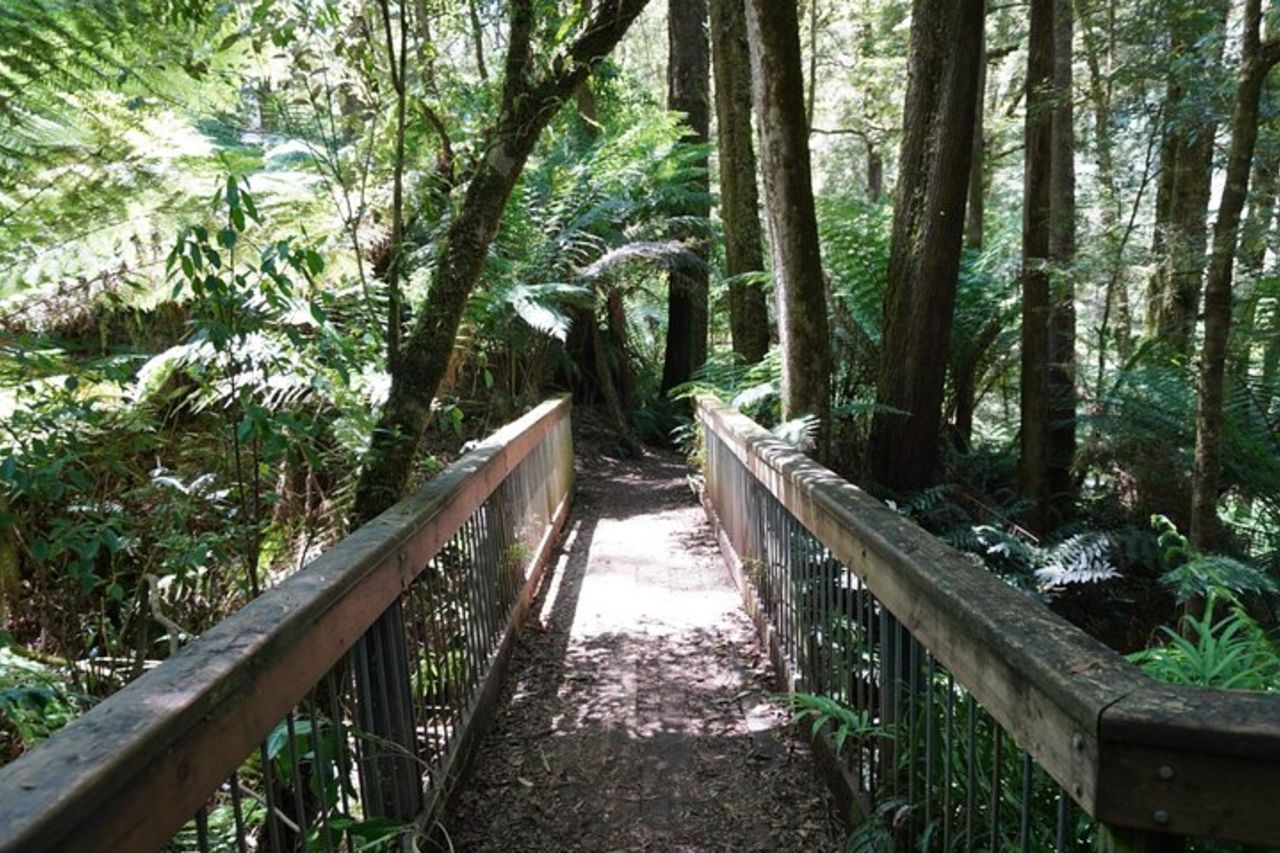 Tour di un'intera giornata su Great Ocean Road e 12 Apostoli — 7