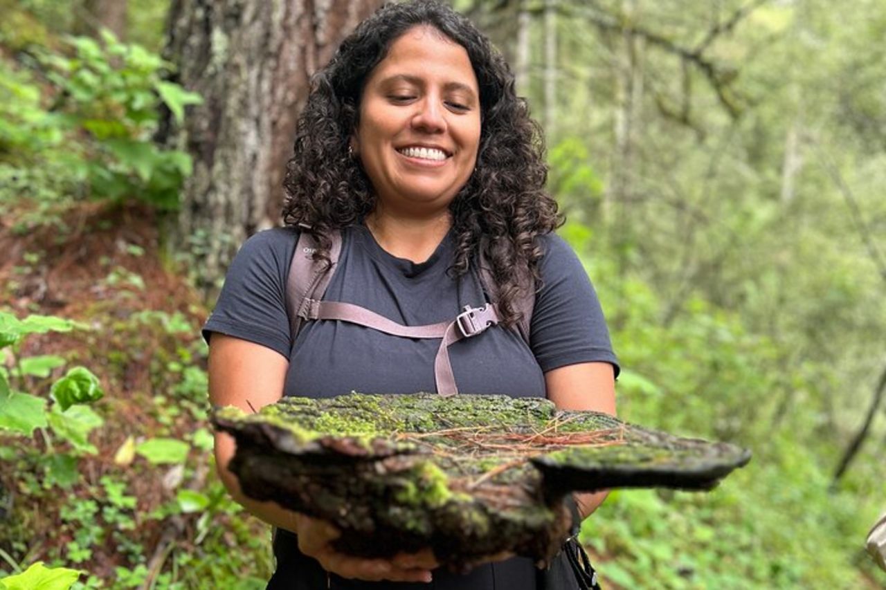 Senderismo nel bosco della Sierra Norte di Oaxaca — 6