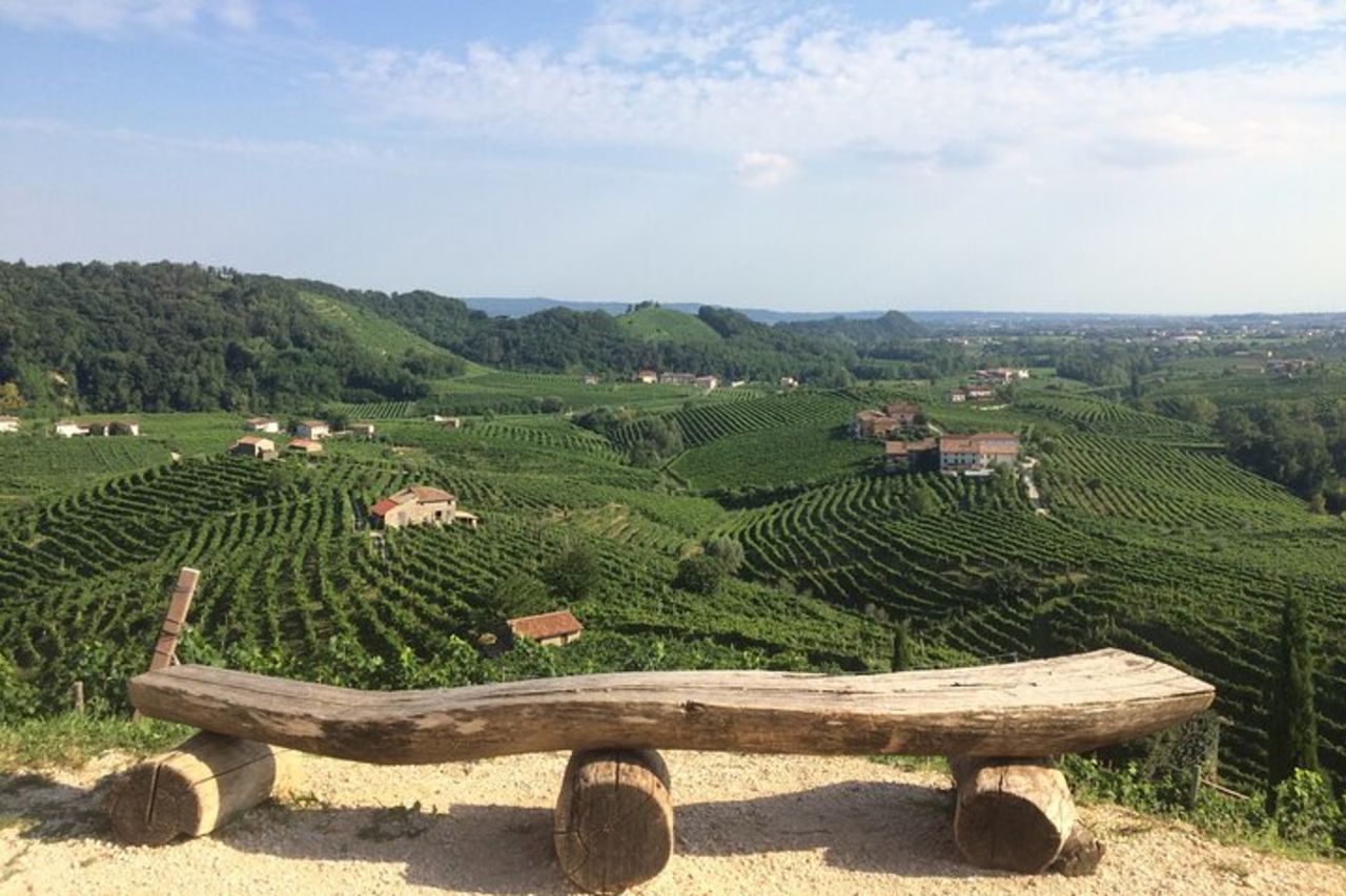 Tour e degustazione di vini di un'intera giornata nella regione del Prosecco