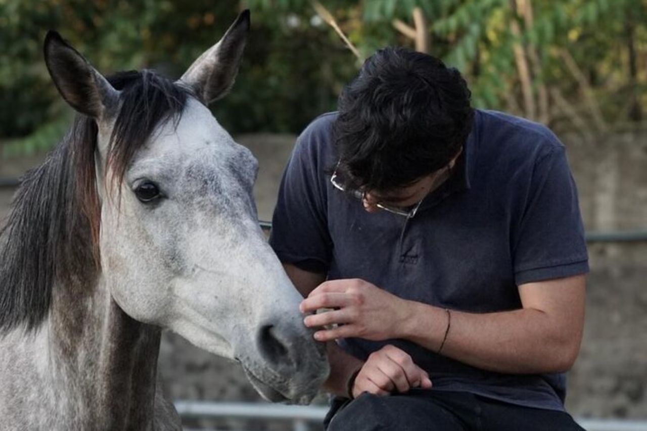 Tour guidato di Pompei e passeggiate a cavallo sul Vesuvio con pranzo — 2