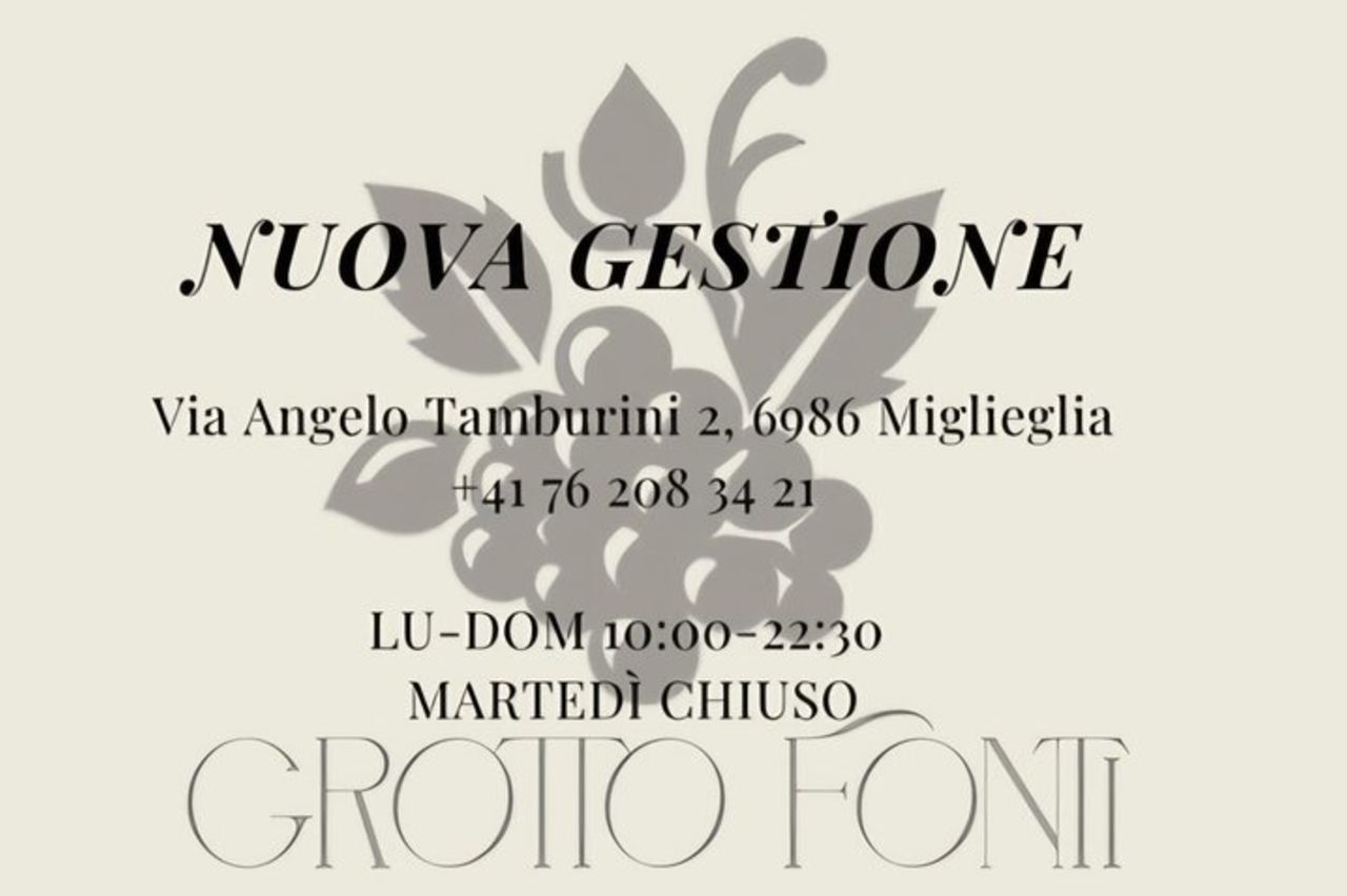 Lugano, Tur Del parco SwissMiniatur con pranzo al Grotto — 6