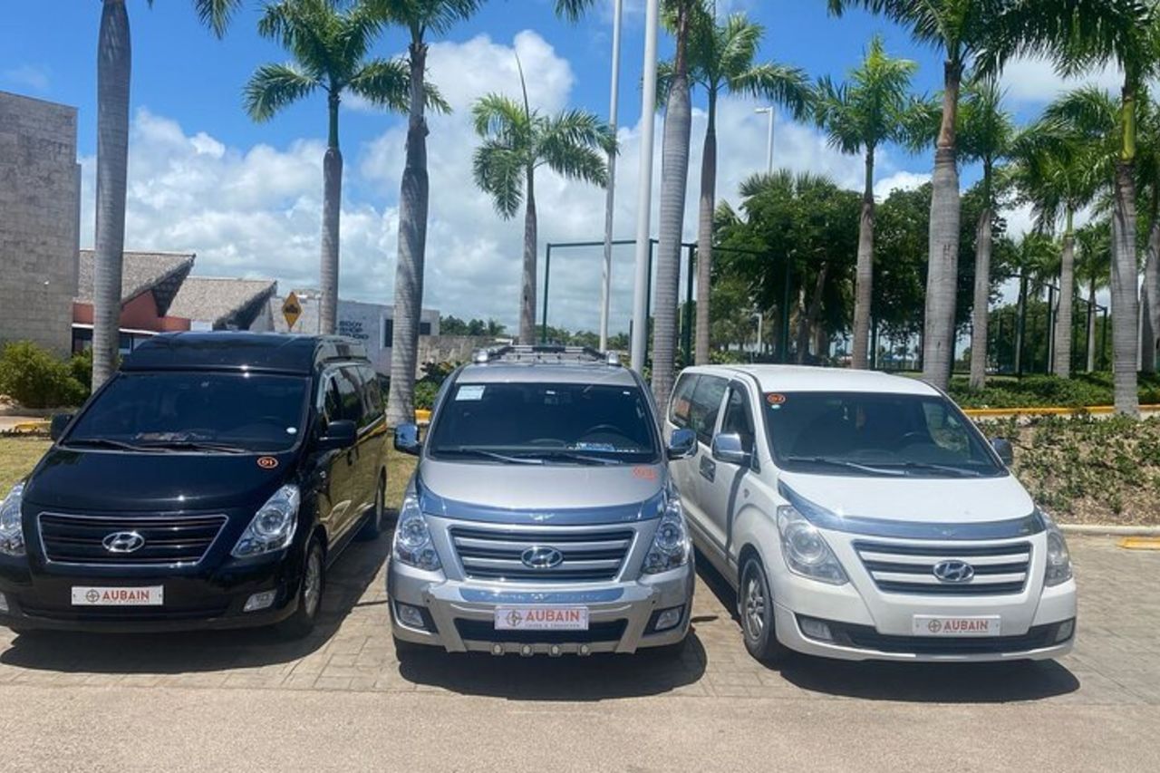Trasferimento privato dall'aeroporto di Punta Cana a Bavaro — 7