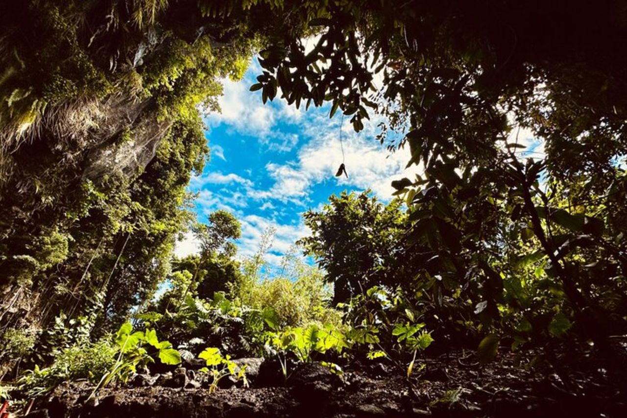 Visita guidata di Tahiti Nui alla scoperta della Polinesia — 2