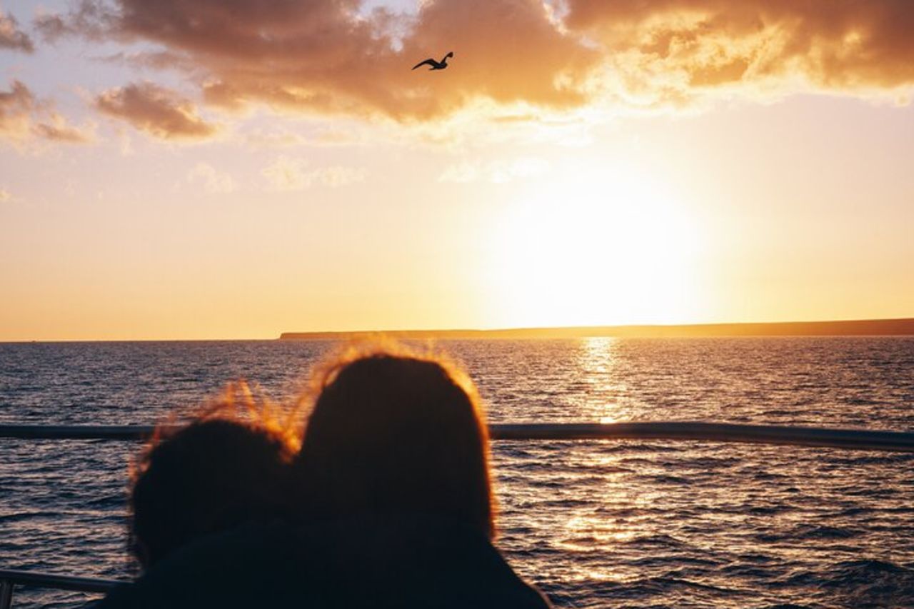 Crociera in barca a vela al tramonto con i delfini di 2 ore con drink — 3