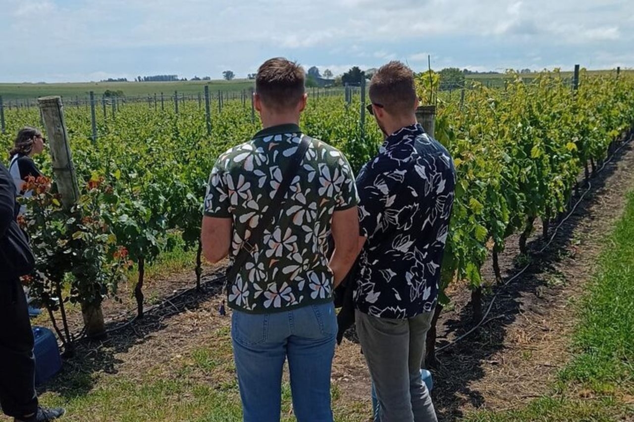 Tour guidato privato del vino di Colonia — 9