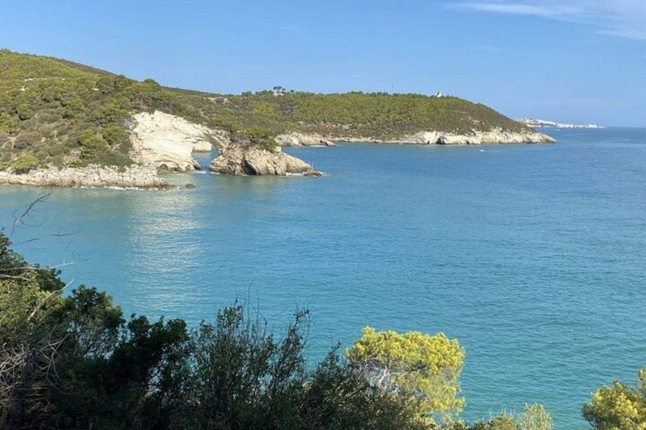 Tour Guidato In Barca Costa Del Gargano Grotte Baie Tradizione — 8
