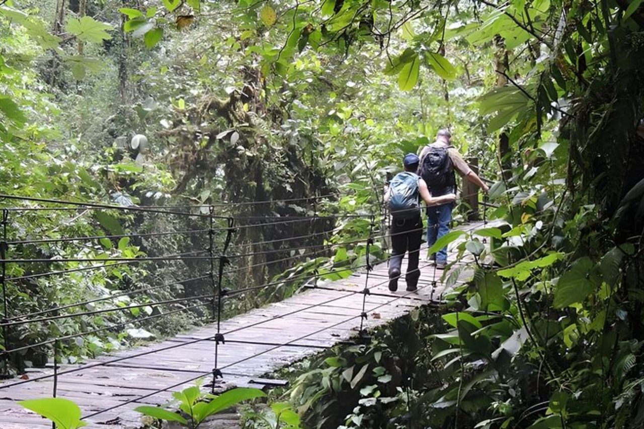 Tour privato di un giorno nella foresta di Mindo Cloud — 2