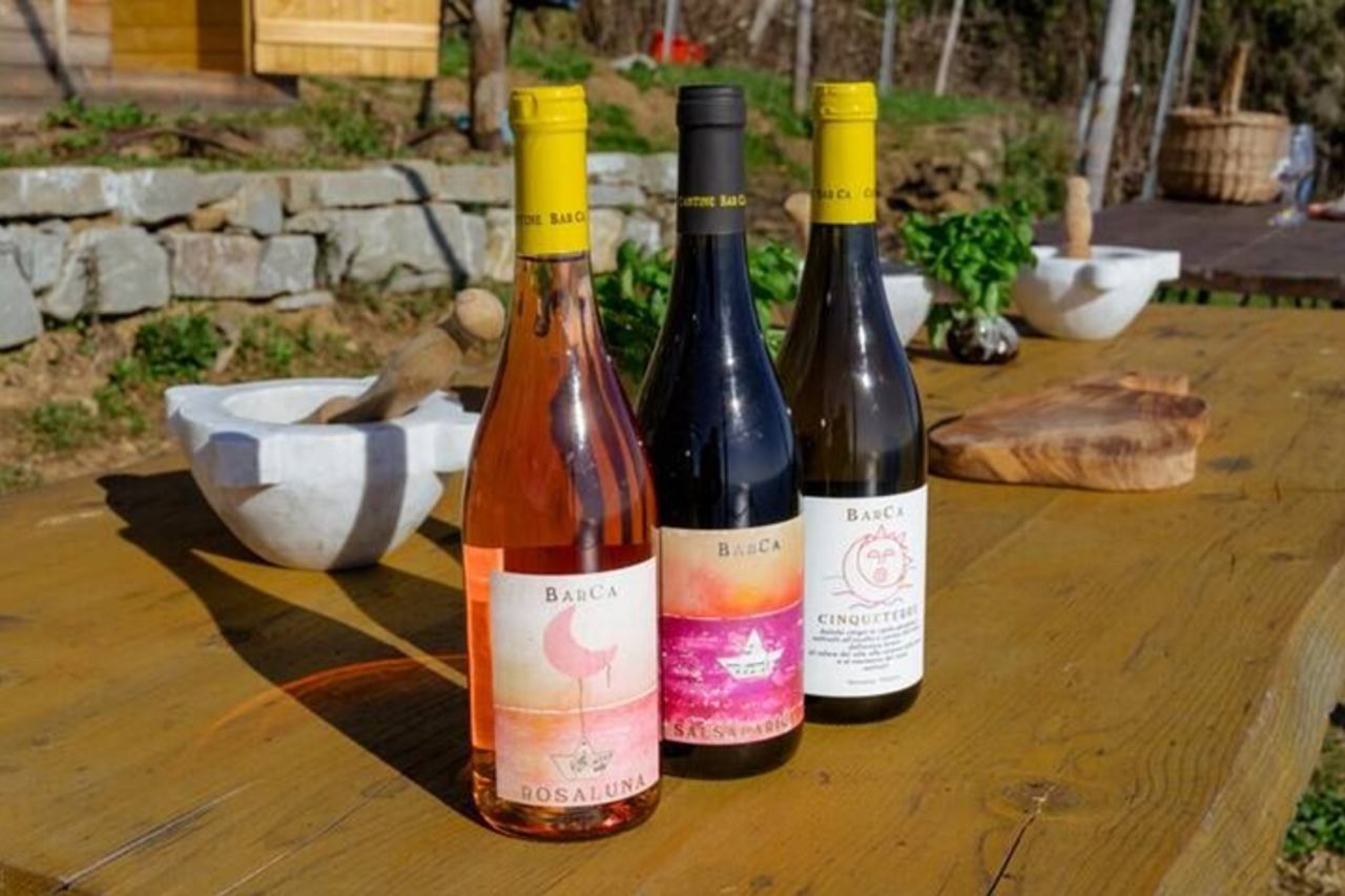 BarCa Winery Cinqueterre Trekking & Wine Tasting & Pesto Class — 8