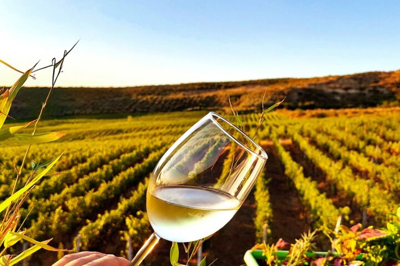 Esperienza di vigneto in campagna a Durazzo con abbinamento vino & cibo — 2