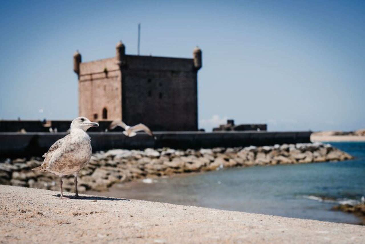 Essaouira Giorno Partenza da Marrakech — 8