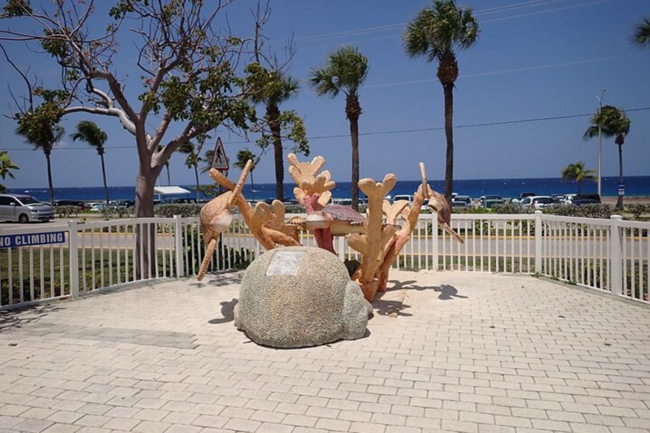 Centro Tartarughe, stelle marine, razze e snorkeling(Avventura a 4 soste) — 3