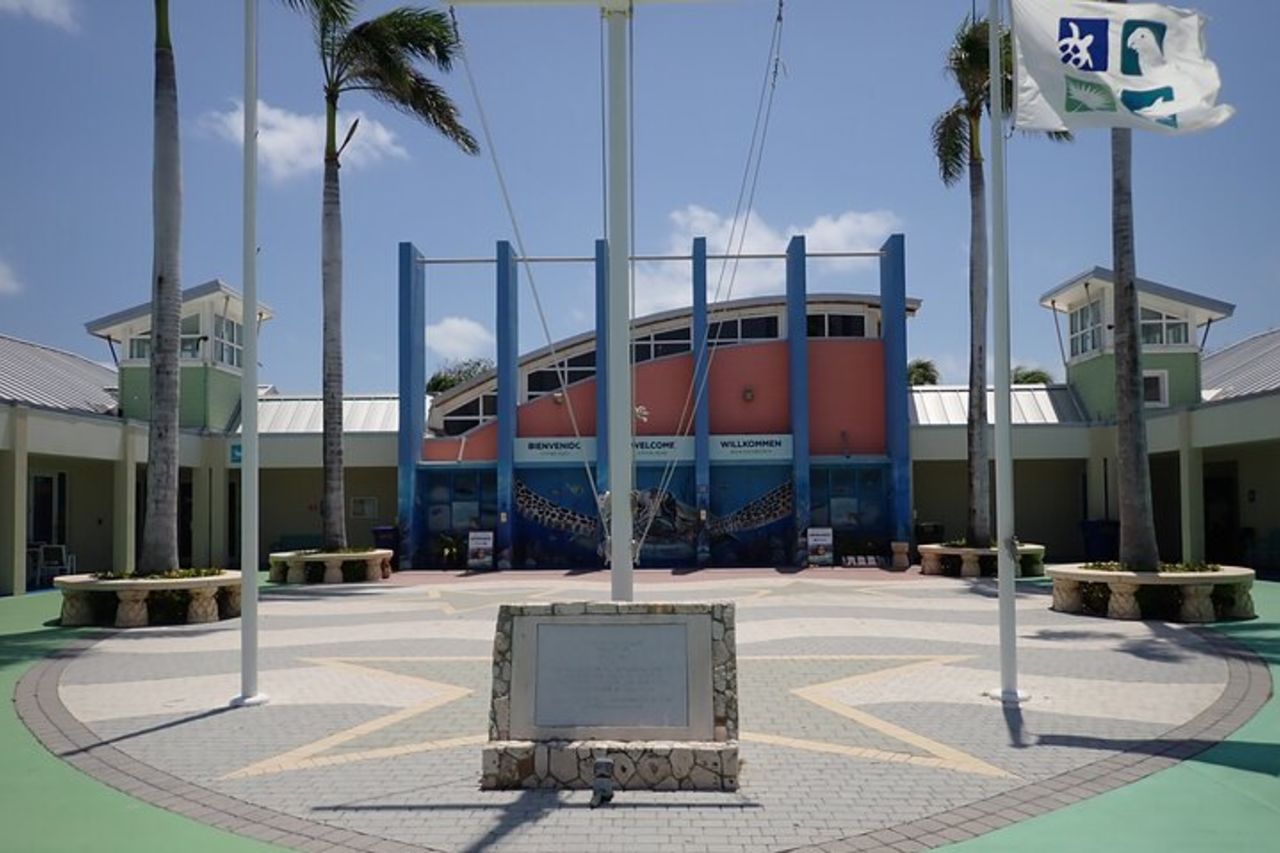 Centro Tartarughe, stelle marine, razze e snorkeling(Avventura a 4 soste)