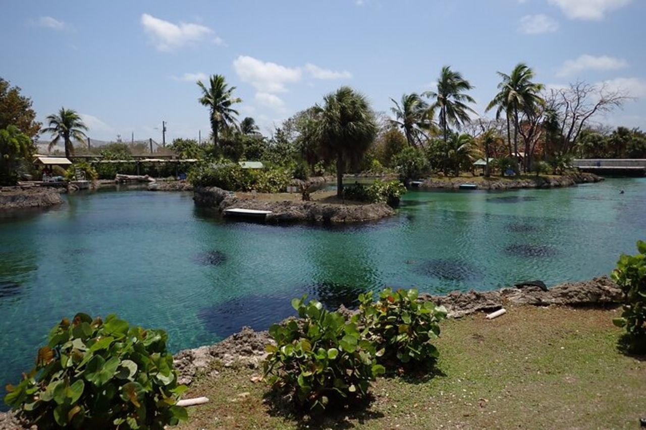 Centro Tartarughe, stelle marine, razze e snorkeling(Avventura a 4 soste) — 2