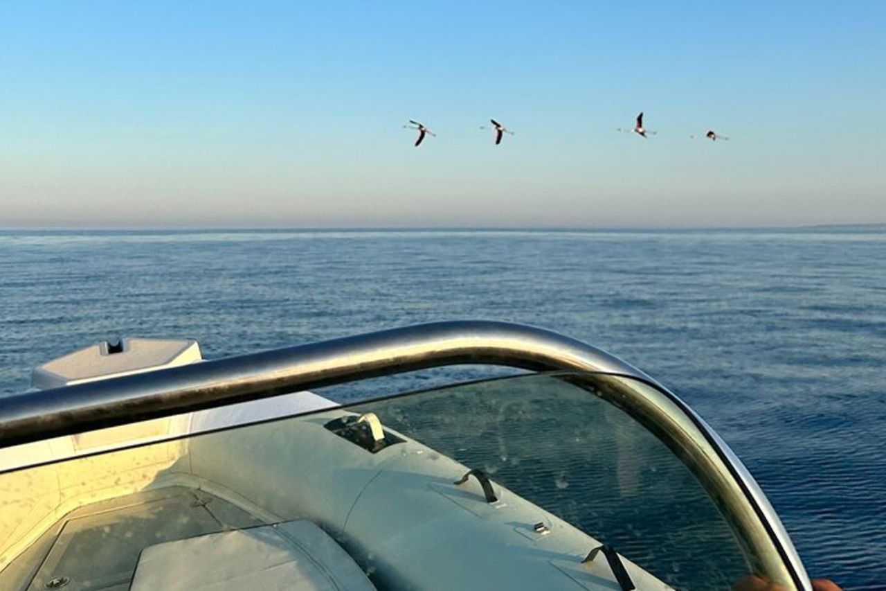 Marzamemi: Barca privata per Capopassero & Vendicari con aperitivo — 3