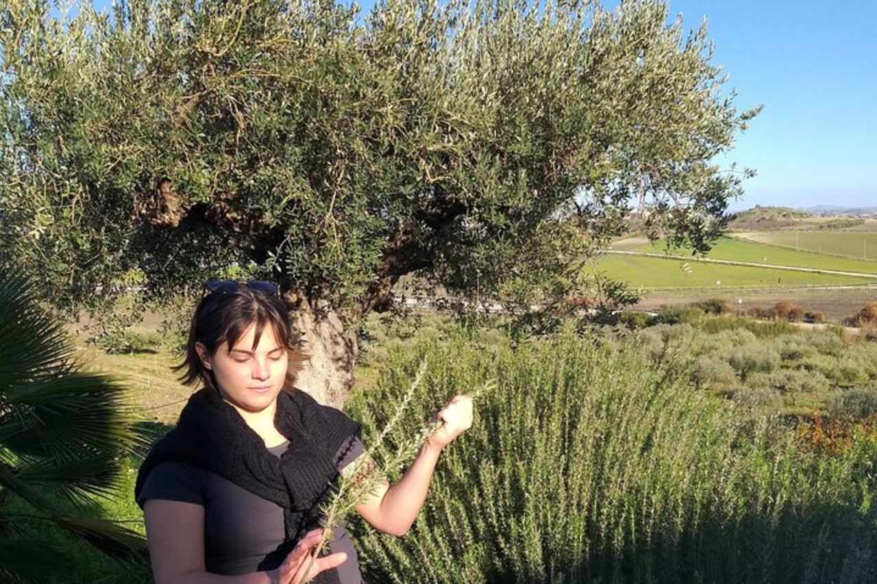 Valle dei Templi e Degustazione di Vini Presso Tenute Camilleri — 9