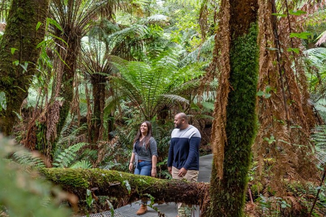 Great Ocean Road 12 Apostoli e passeggiata nella foresta pluviale con tè mattutino — 5