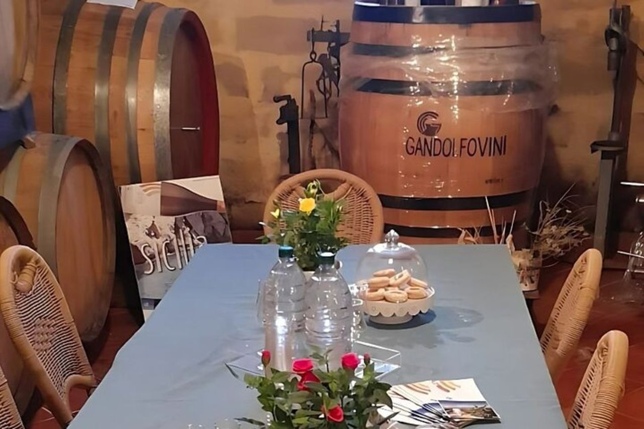 Tour in Cantina a Marsala con Vini e Specialità Locali — 3