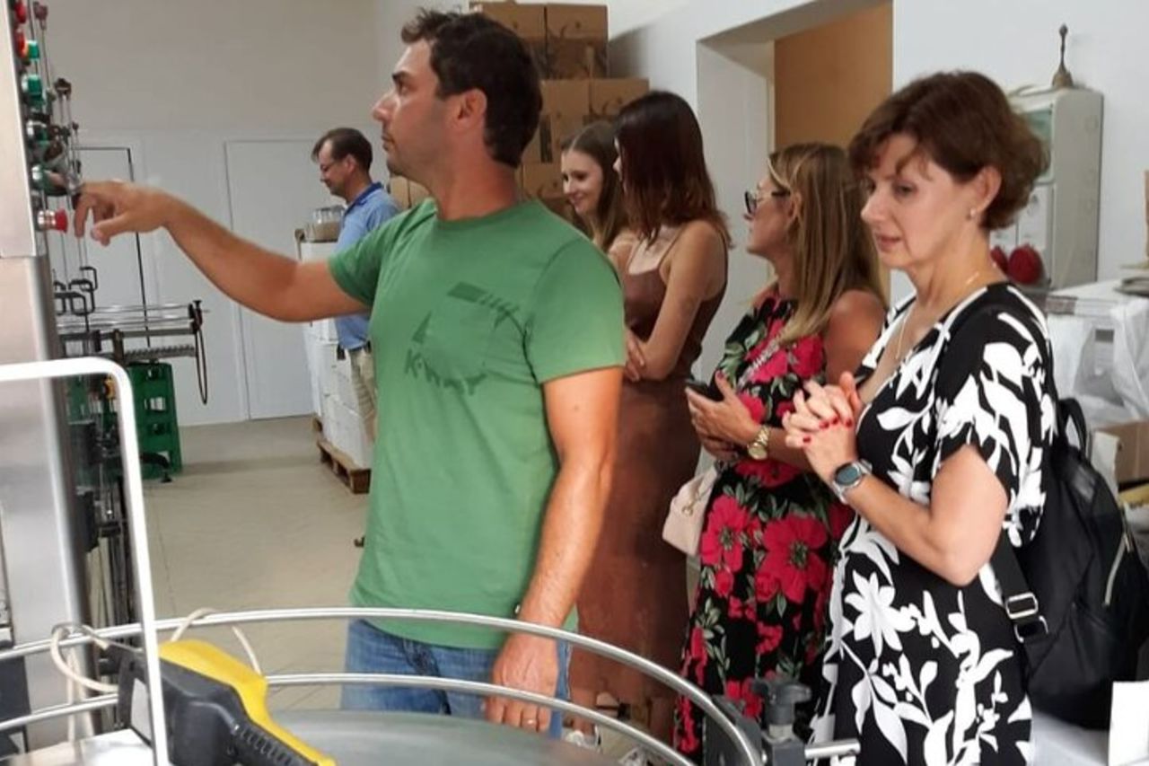 Tour in Cantina a Marsala con Vini e Specialità Locali — 4