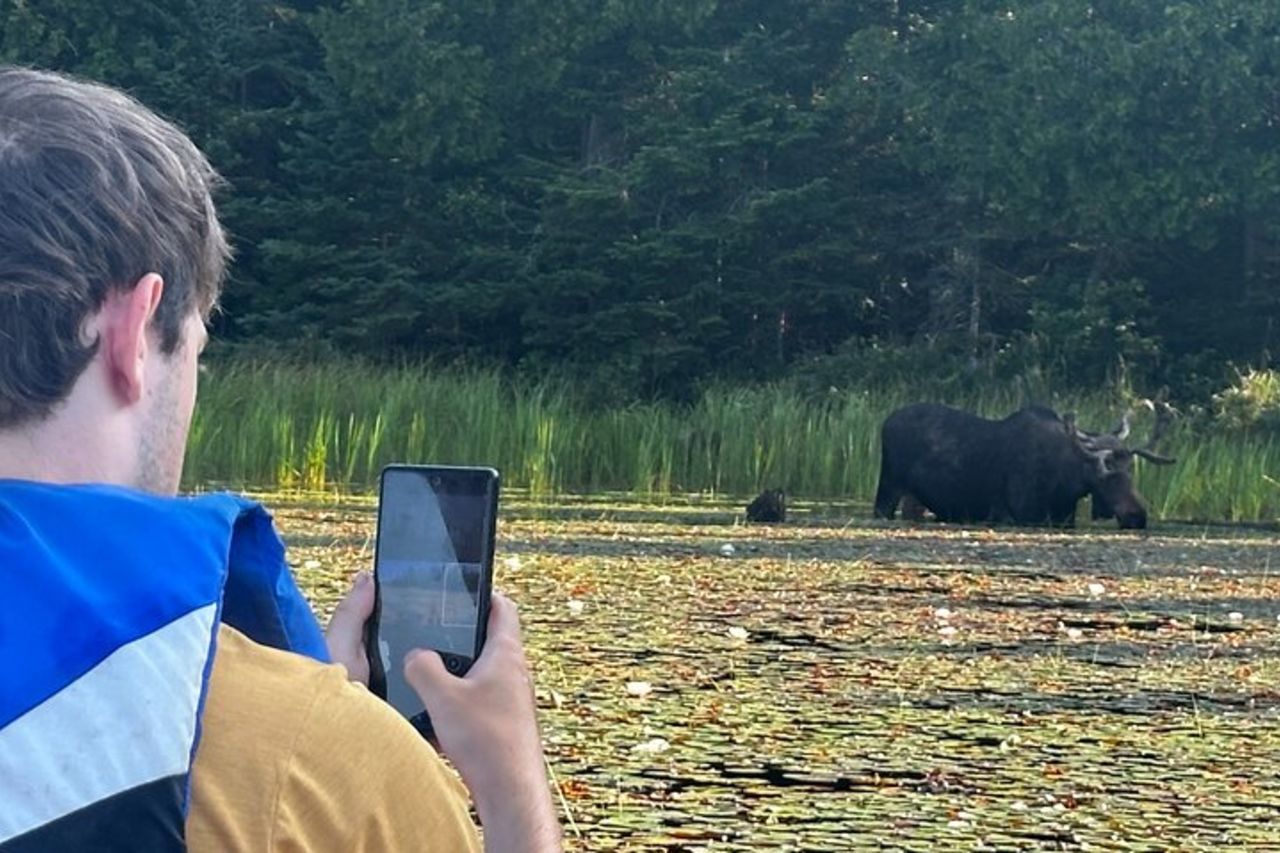 Algonquin Park 3 - Avventura in campeggio e canoa Deluxe — 4