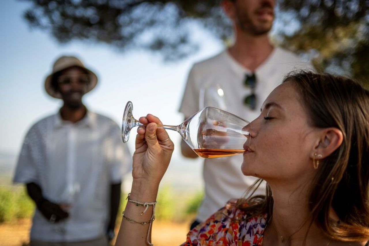 Tour privato del vino nella penisola di Saint-Tropez — 8